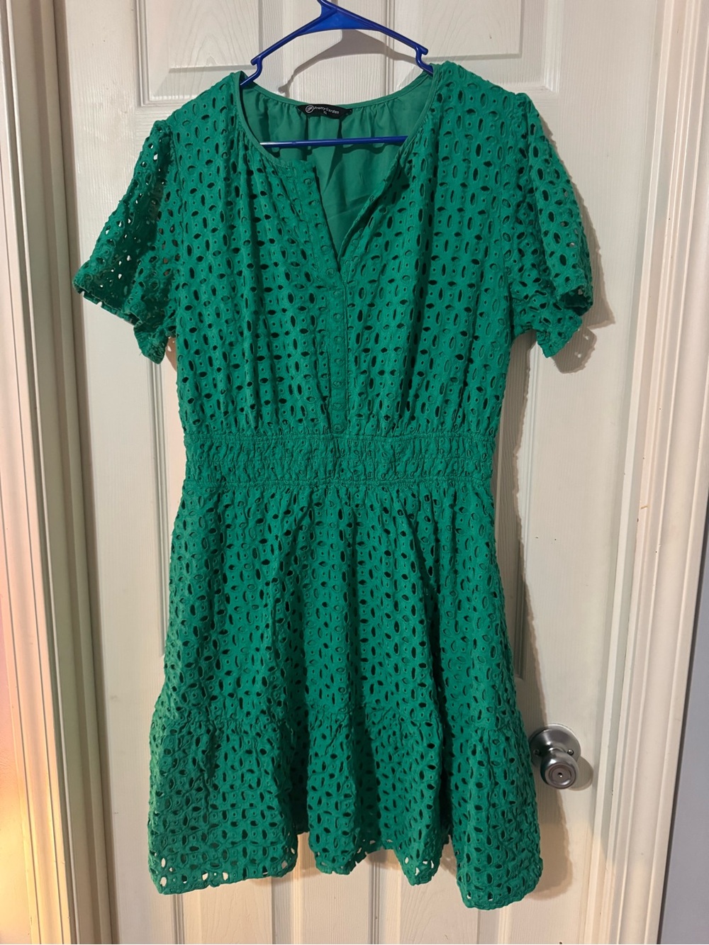 Pretty Garden Eyelet Fit-and-Flare Dress in Green